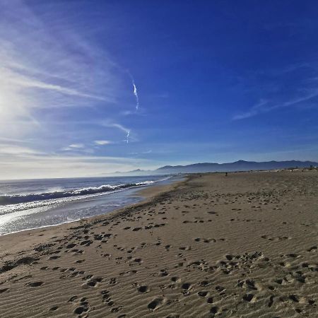 Appartement Climatise Vue Mer 208 Canet-en-Roussillon Eksteriør billede