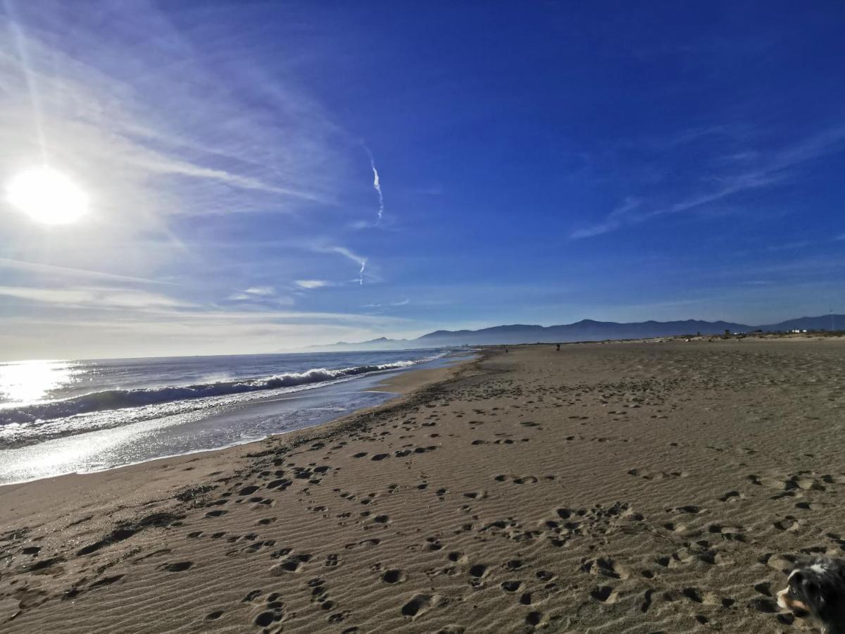 Appartement Climatise Vue Mer 208 Canet-en-Roussillon Eksteriør billede