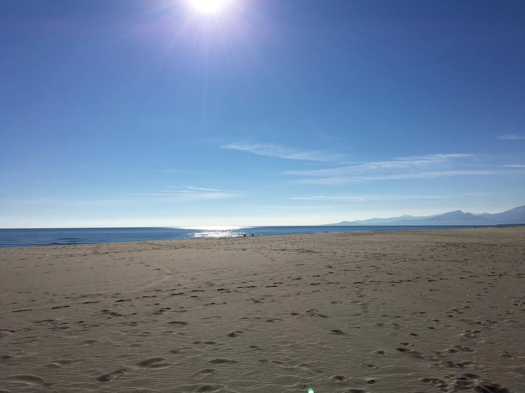 Appartement Climatise Vue Mer 208 Canet-en-Roussillon Eksteriør billede