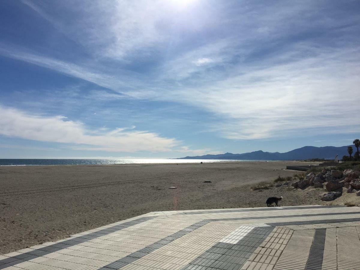 Appartement Climatise Vue Mer 208 Canet-en-Roussillon Eksteriør billede