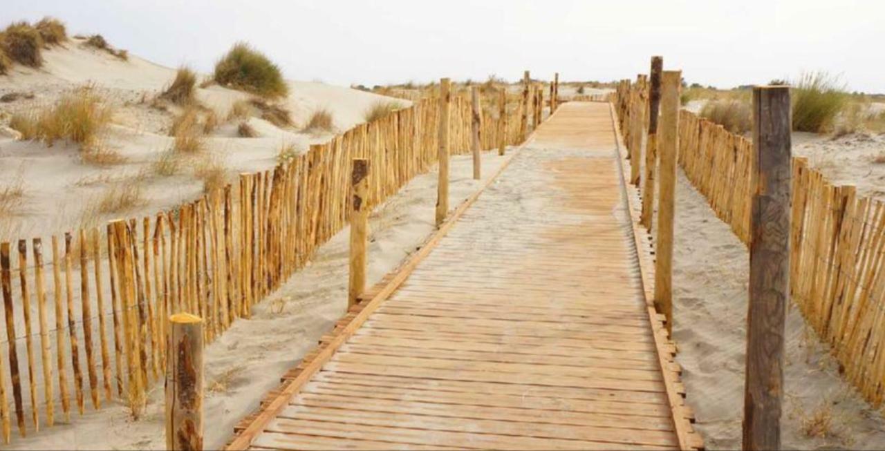 Appartement Climatise Vue Mer 208 Canet-en-Roussillon Eksteriør billede